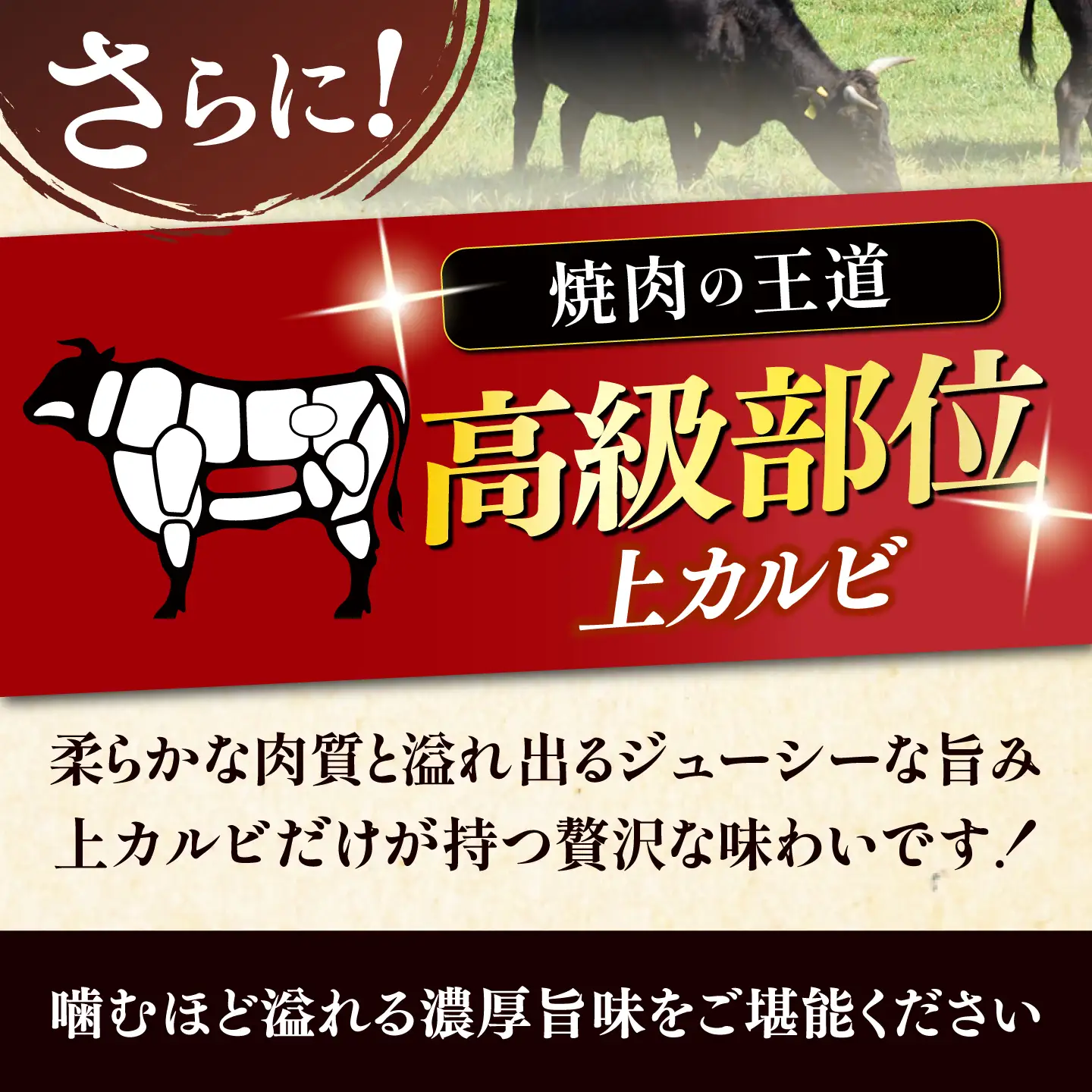 【スピード発送】博多和牛 A5，4等級 上カルビ焼肉 500g《築上町》【久田精肉店】 焼肉 カルビ 国産 人気 おすすめ[ABCL181]