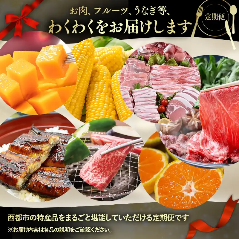 【季節の定期便B】1年間届く 西都まるごと堪能セット6品お届け！【わくわくコース】 宮崎完熟マンゴー 宮崎牛 うなぎ いちご 地鶏 もつ鍋 すき焼き＜1-2a＞