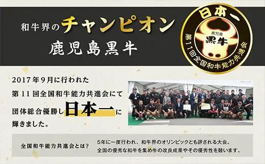 【特別企画】鹿児島黒牛カタローススライスセット計1.8kg〈R-901〉