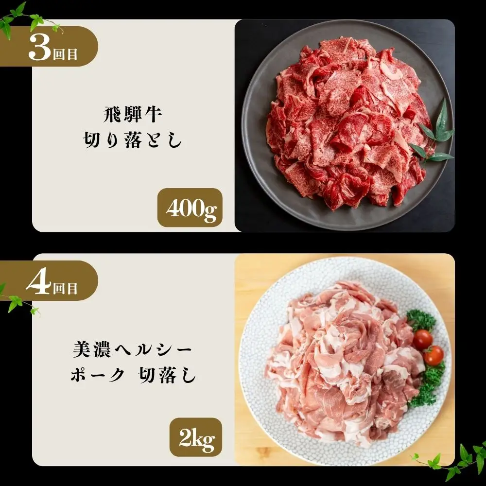 【定期便】飛騨牛 豚 切り落とし 定期便 全4回 | 本巣市 トキノ屋 食品