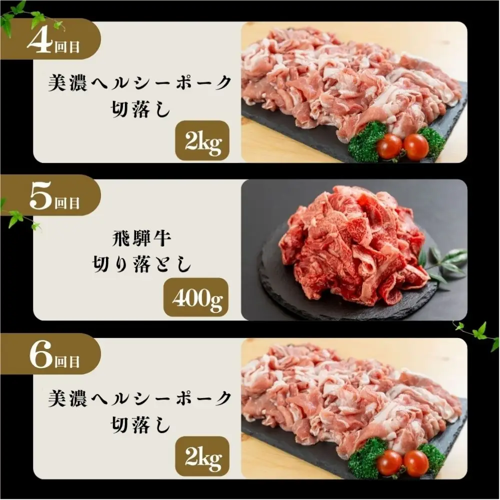 【定期便】飛騨牛 豚 切り落とし 定期便 全6回 | 本巣市 トキノ屋 食品