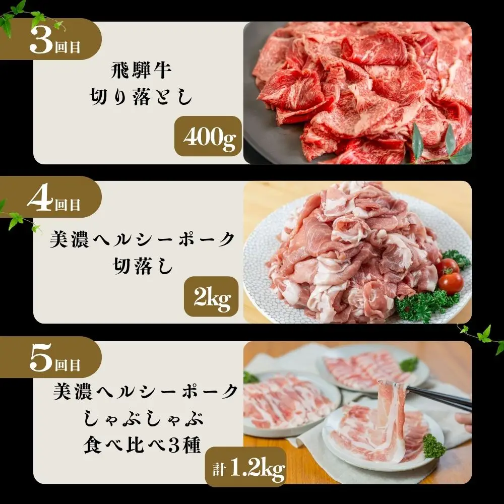 【定期便】飛騨牛 ・ 豚 づくし 定期便 全5回 | 本巣市 トキノ屋 食品