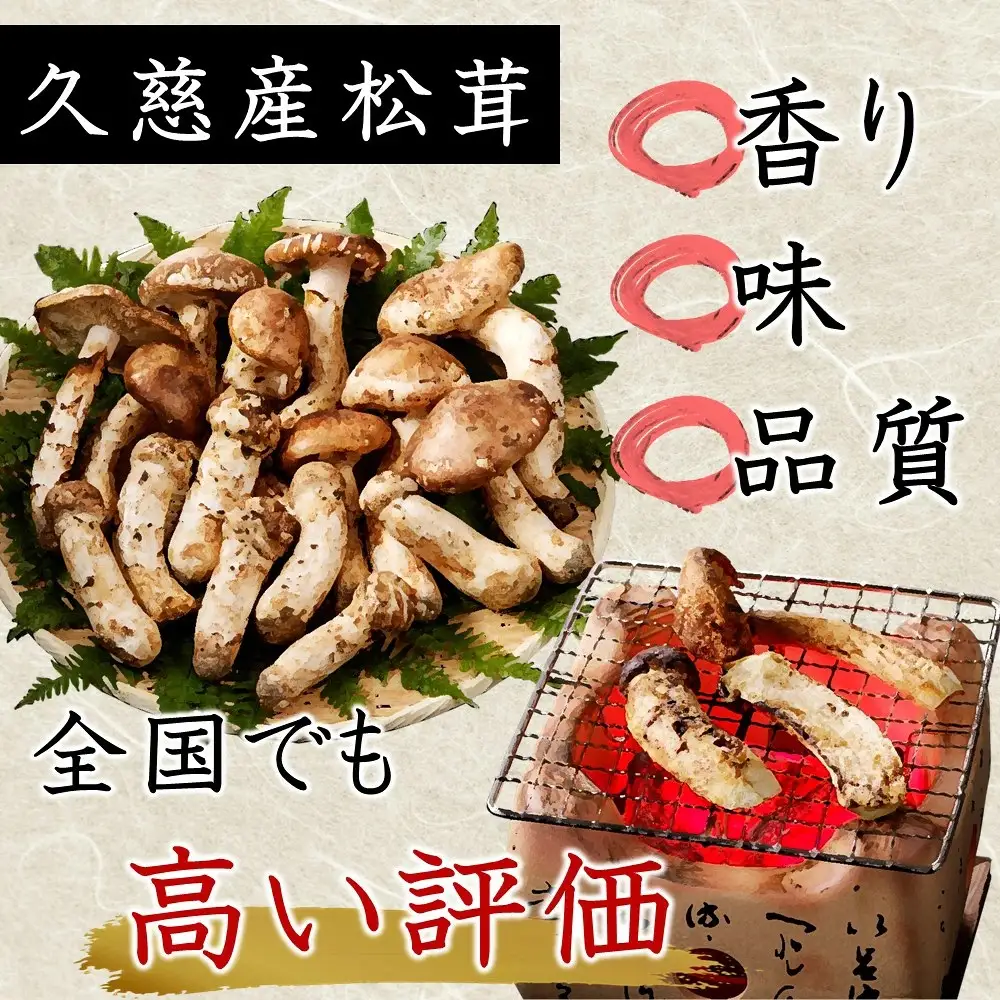 松茸 久慈産天然松茸 選別 300g