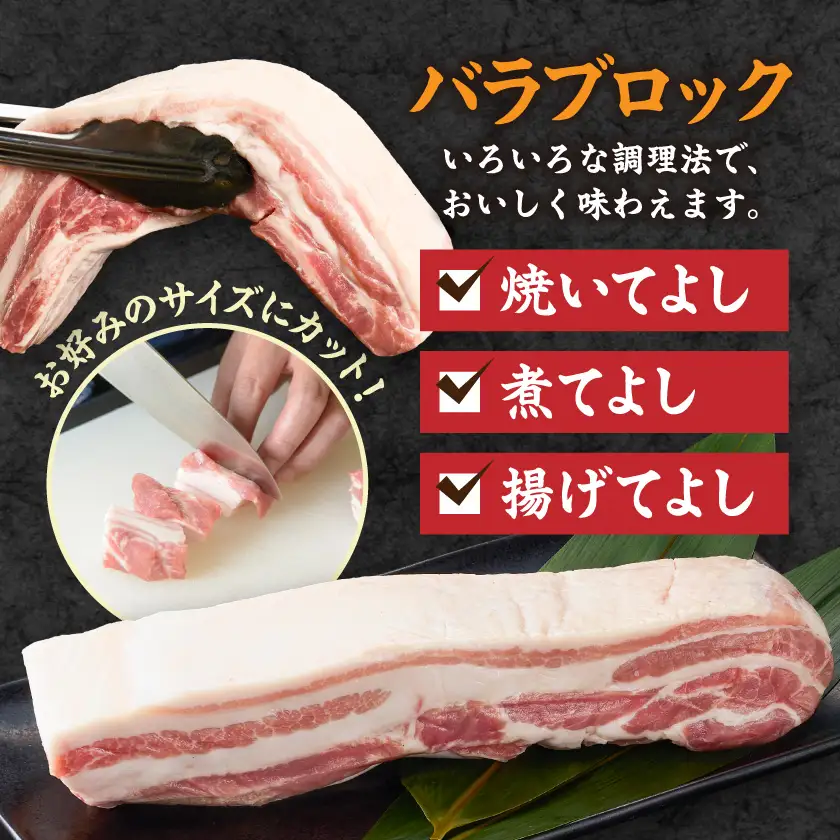 都城産豚ロースとんかつ&バラブロックセット2kg〔25-021-2kg〕_(都城市)