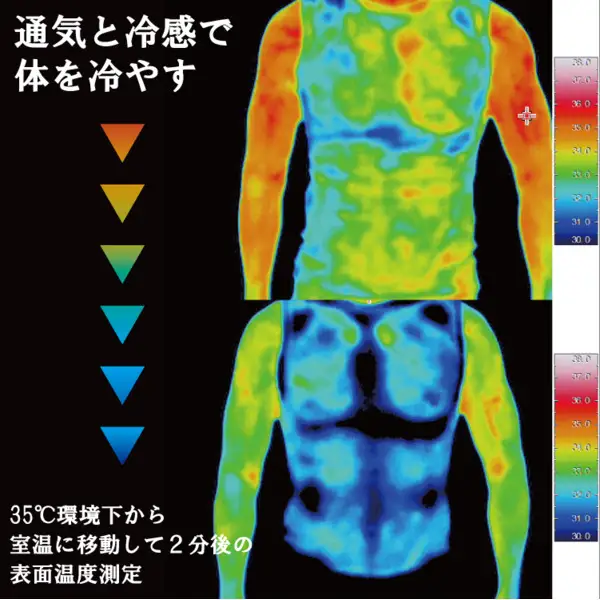 肌冷乾(はだれいかん)HADAREIKAN インナー サイズL