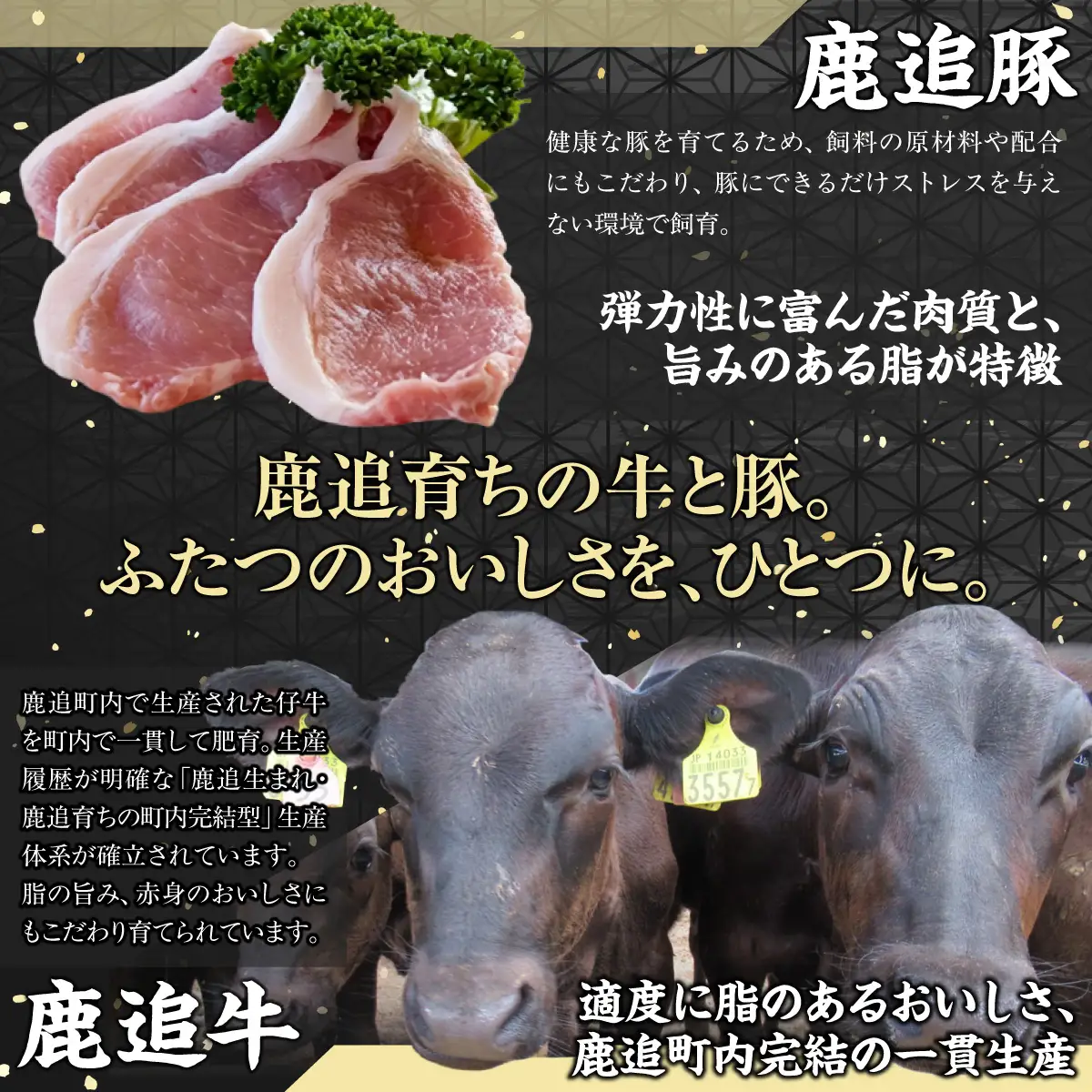 【定期3ヶ月】鹿追産牛豚合挽きハンバーグ　140g ×10個 SKA069-1