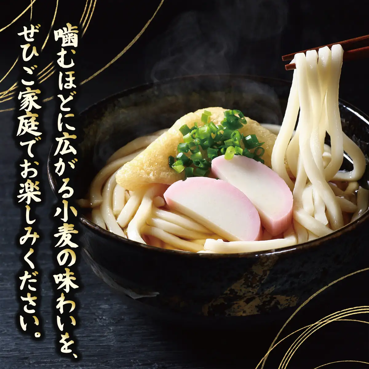 しかおい生うどん 20食セット（2人前×10袋） SKA078