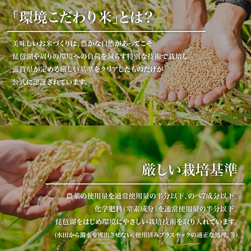 令和8年産】 ミルキークイーン 10kg 新米 白米 環境こだわり米 特別