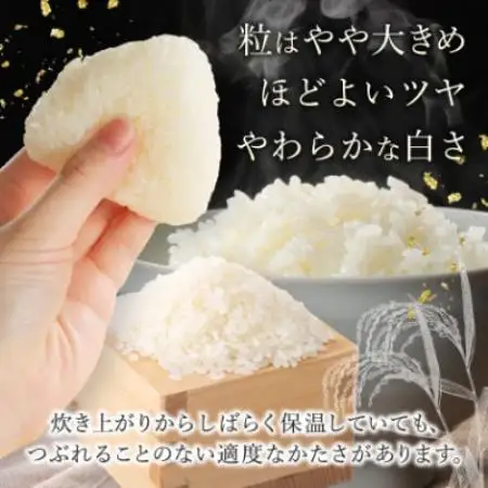 【令和7年産】青森県産　青天の霹靂5kg　(無洗米(精米))【1781430】
