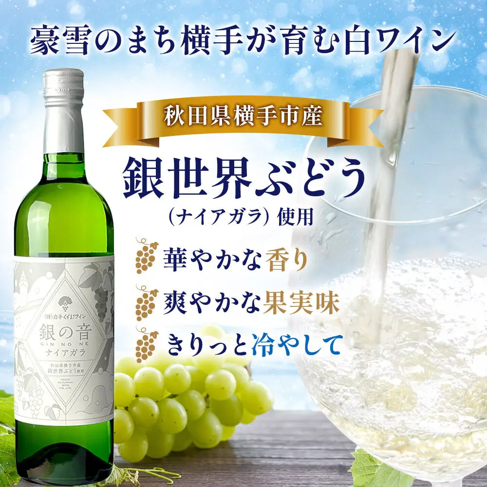 白ワイン 銀の音ナイアガラ 720ml×2本