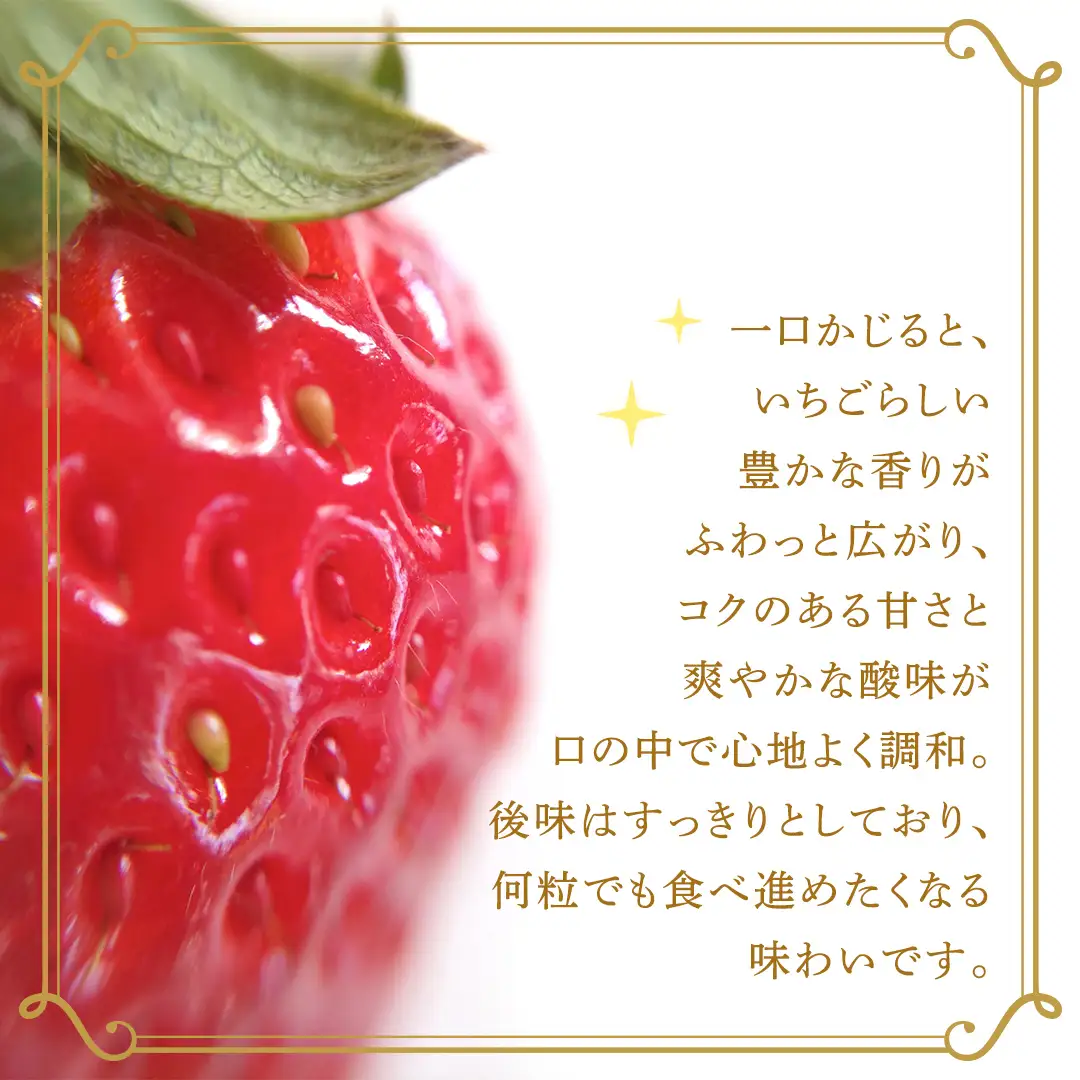 とちおとめ 約250g（15～18粒）×4パック【2026年12月から発送開始】（茨城県共通返礼品 [いちご]：城里町産）