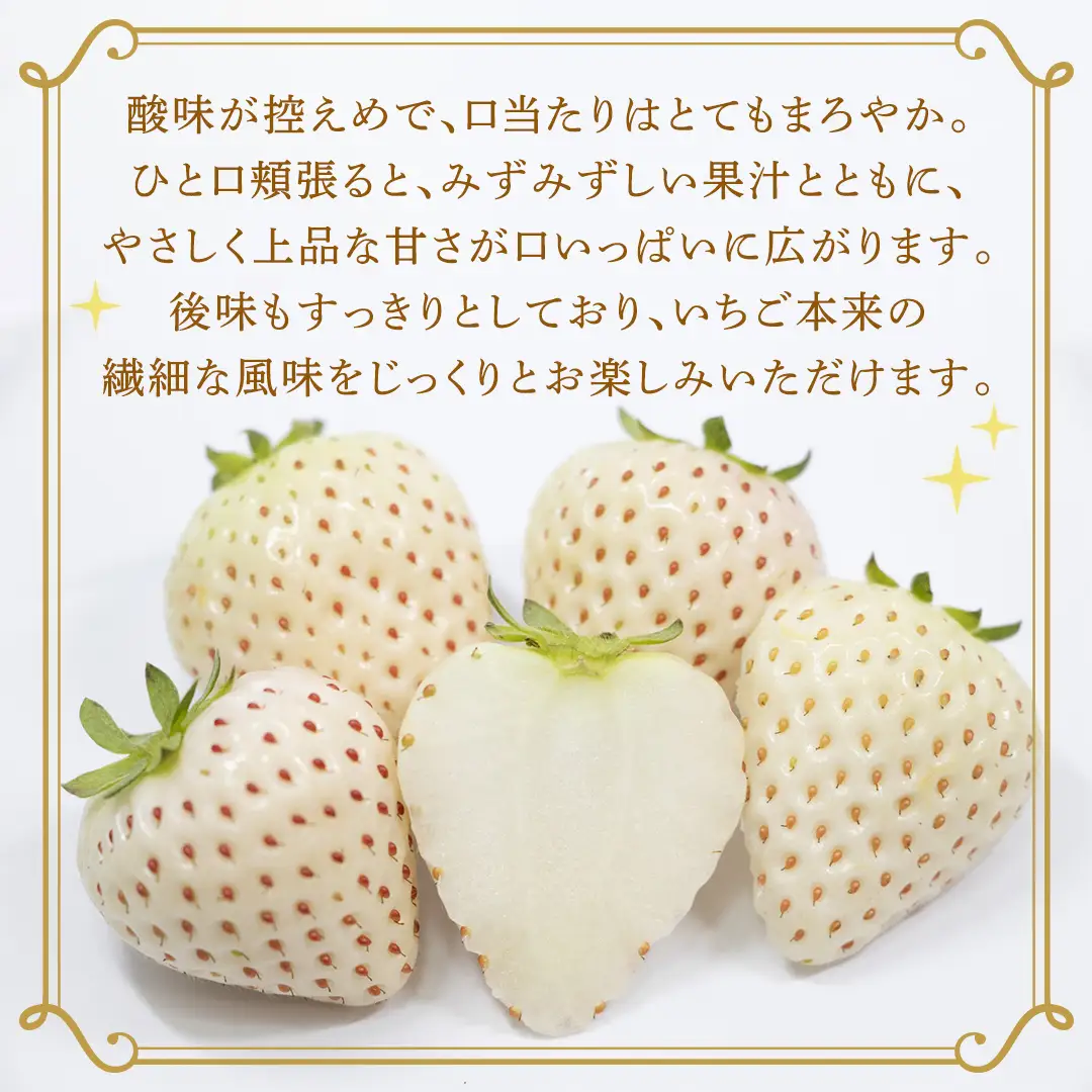 【定期便】白いちご 約200g×4パック 3ヶ月連続お届け便【2027年1月から発送開始】（茨城県共通返礼品 [いちご]：城里町産）