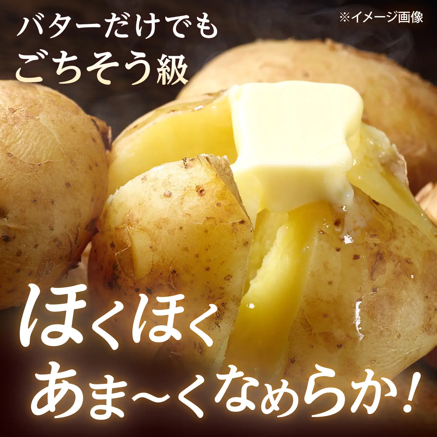 【全3回定期便】【10月-12月発送】 じゃがいも 男爵 5kg [BPAM092] じゃがいも