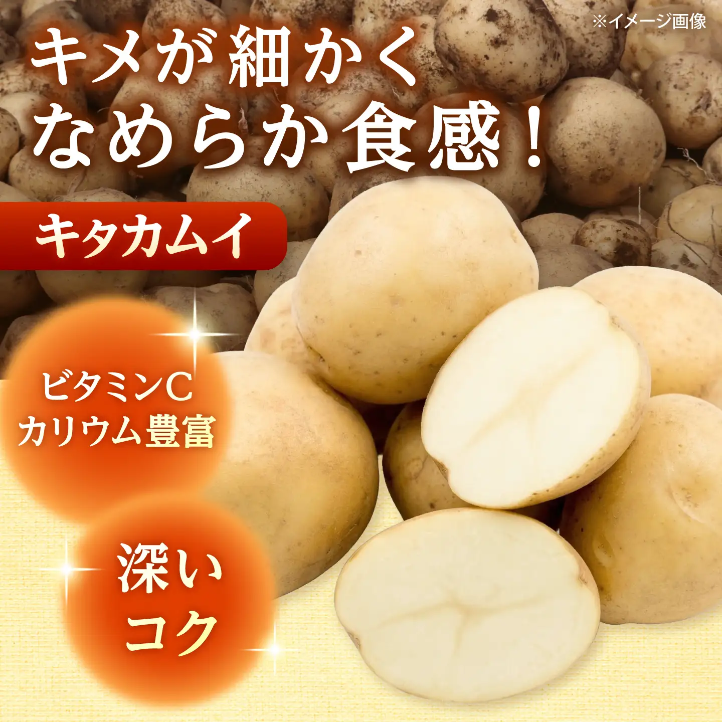 じゃがいも 食べ比べセット （男爵・キタカムイ）計10kg  [BPAM098] じゃがいも