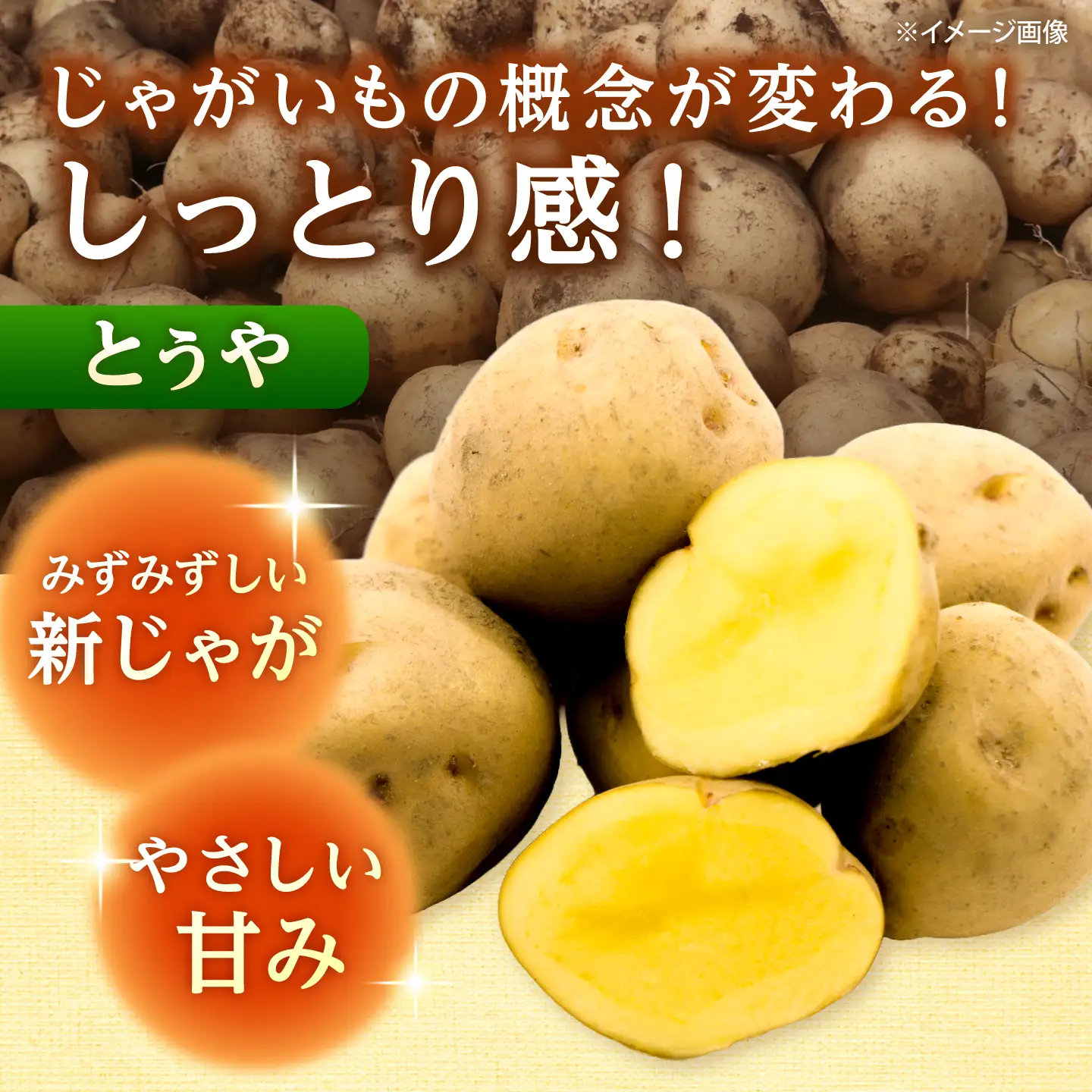 じゃがいも 食べ比べセット （男爵・とうや）計10kg  [BPAM099] じゃがいも
