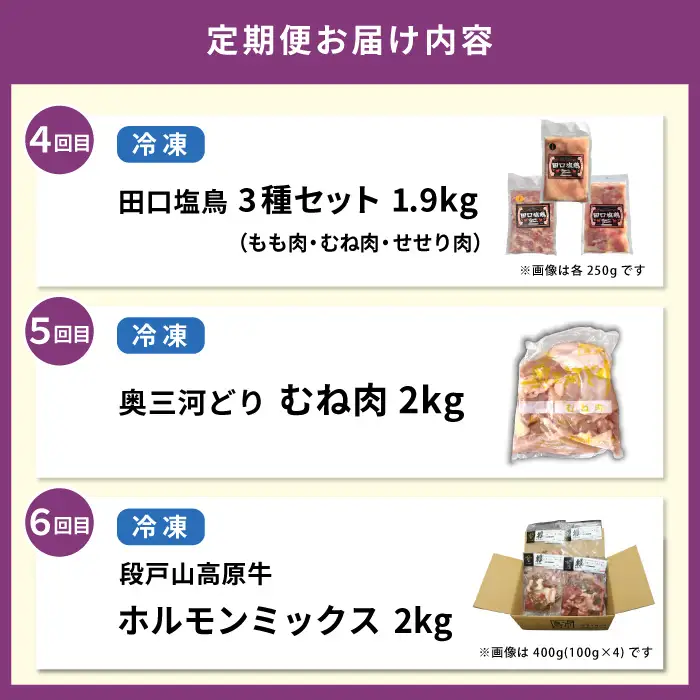 《全6回 定期便》 合計10㎏越え！！どっさり 定期便 もも肉 サーモン 手羽先 むね肉 せせり肉 ホルモンミックス 鶏肉 魚介 大容量 大家族 ストック パーティー 愛知県 設楽町-306