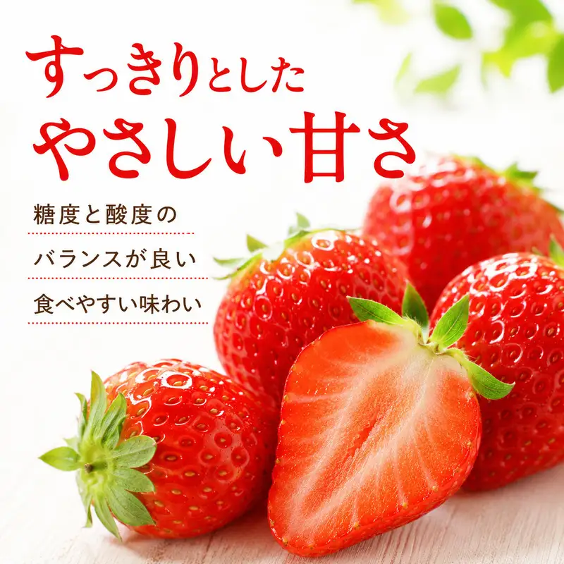 いちご イチゴ 苺 先行予約 1月発送 家庭用 もういっこ 宮城県亘理町産 1.5kg 250g×6パック 小分け 冷蔵配送 国産 フルーツ 返礼品