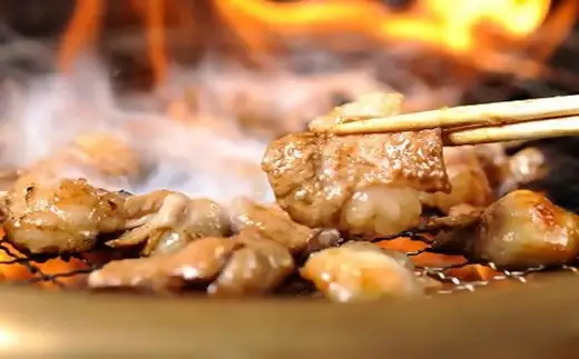 松阪牛と松阪牛ホルモンの焼肉セット【002437】