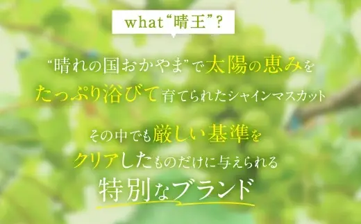 シャインマスカット 晴王 秀品 大房 5 ～ 9房 約5kg ぶどう ブドウ 葡萄 マスカット 果物 くだもの フルーツ 果実 種なし 皮ごと 国産 岡山県産 冷蔵 【 2026年9月上旬から11月下旬迄発送 】