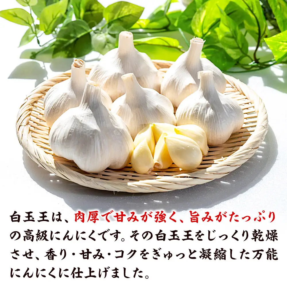 青森にんにく 乾燥にんにく 農家直送 大玉500g 高級品種白玉王使用 青森にんにくファーム