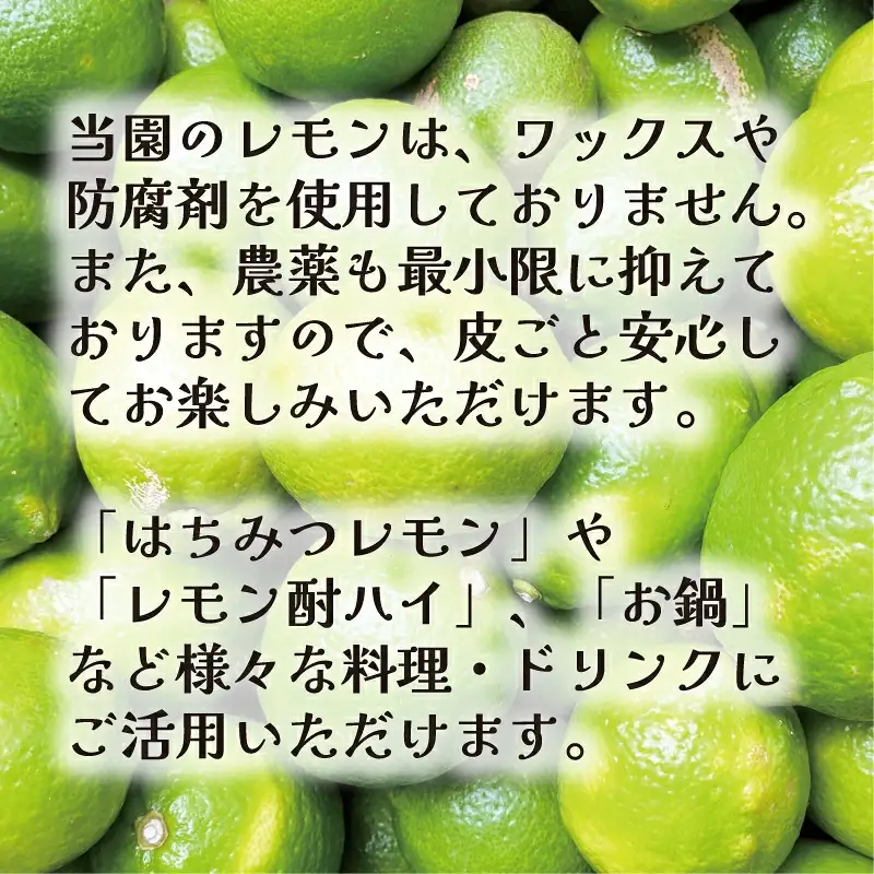 【先行予約：2026年11月上旬～発送】 訳あり レモン5kg 7000円 柑橘 檸檬 国産 れもん フルーツ 果物 果実 産地直送 農家直送 数量限定 期間限定 特産品 瀬戸内 ワックス 防腐剤 不使用 わけあり 人気 新鮮 少量 お試し レモネード 塩レモン レモンソース はちみつレモン あいなんマザーズ 愛南町 愛媛県