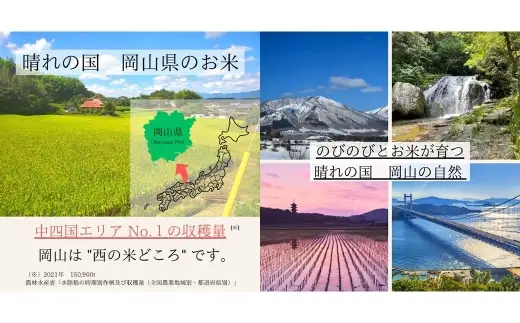 【 令和8年産 】 岡山県産米 あさひ 5kg （ 5kg × 1袋 ） お米 米 こめ コメ 白米 精米 白飯 飯 ご飯 おにぎり 和食 国産 【 2026年11月上旬から2027年8月下旬迄発送予定 】