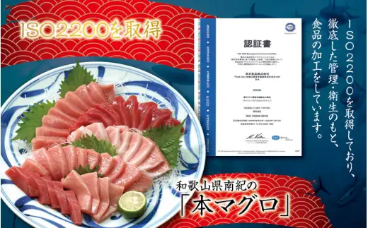 マグロ 本マグロ 大トロ・中トロ・赤身 1kg / マグロ 大トロ 中トロ 赤身 クロマグロ 刺身 冷凍 本マグロ 海鮮丼 まぐろ 寿司【11月発送】【nks105B-11】