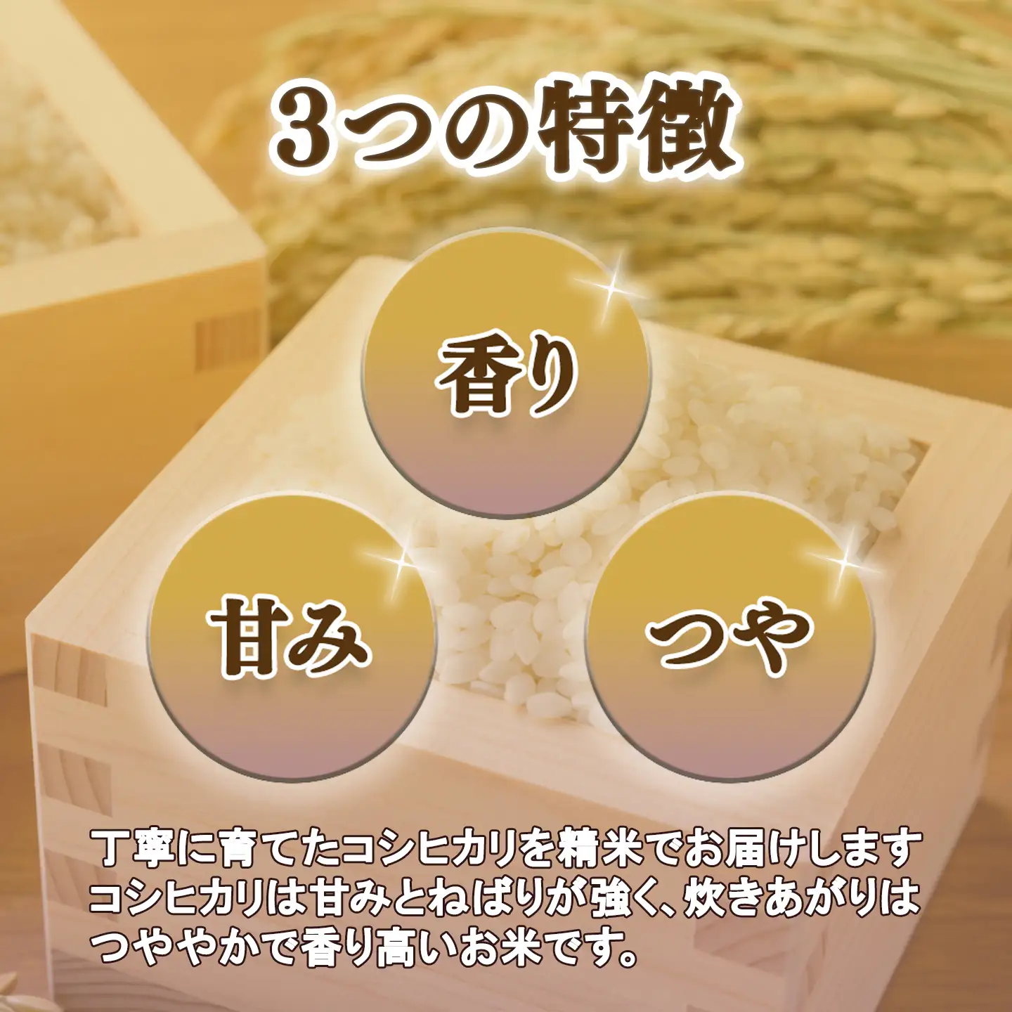 【 3ヵ月 定期便 】 米 令和8年産 コシヒカリ 15kg 精米 こしひかり