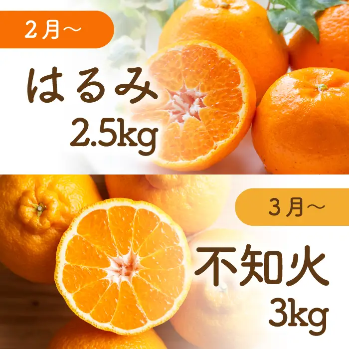 【先行受付】三原の柑橘定期便 全3回 石地 レモン はるみ 不知火 しらぬい デコポン みかん かんきつ フルーツ 果物 産地直送 ジューシー 瀬戸内 広島県三原市 T16