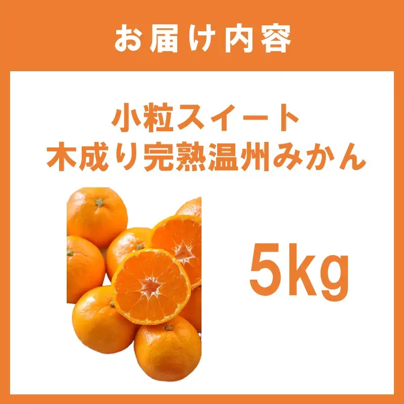 小粒スイート 木成り完熟温州みかん5kg≪先行予約≫2026年12月より順次発送予定【1361】