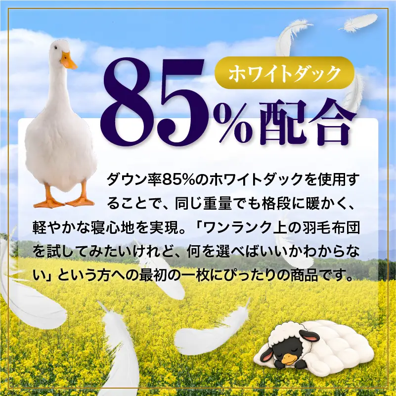 羽毛布団 Royalシリーズ ホワイトダックダウン85% 肌掛け ダウンケット 春秋用【セミダブル】360dp以上 ホテル仕様 完全国内生産 北海道滝川市