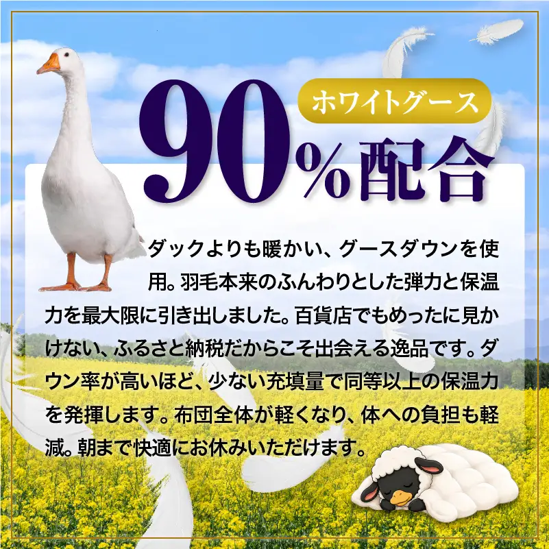 羽毛布団 Royalシリーズ ホワイトグースダウン90% 肌掛け ダウンケット 通年【クイーン】400dp以上 ホテル仕様 完全国内生産 北海道滝川市