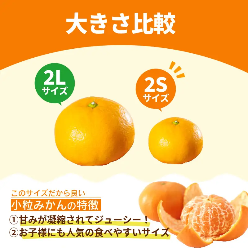 【2026年11月10日から発送】甘さ凝縮！濃蜜小粒 みかん 1.5kg みかん 小玉 小松島市