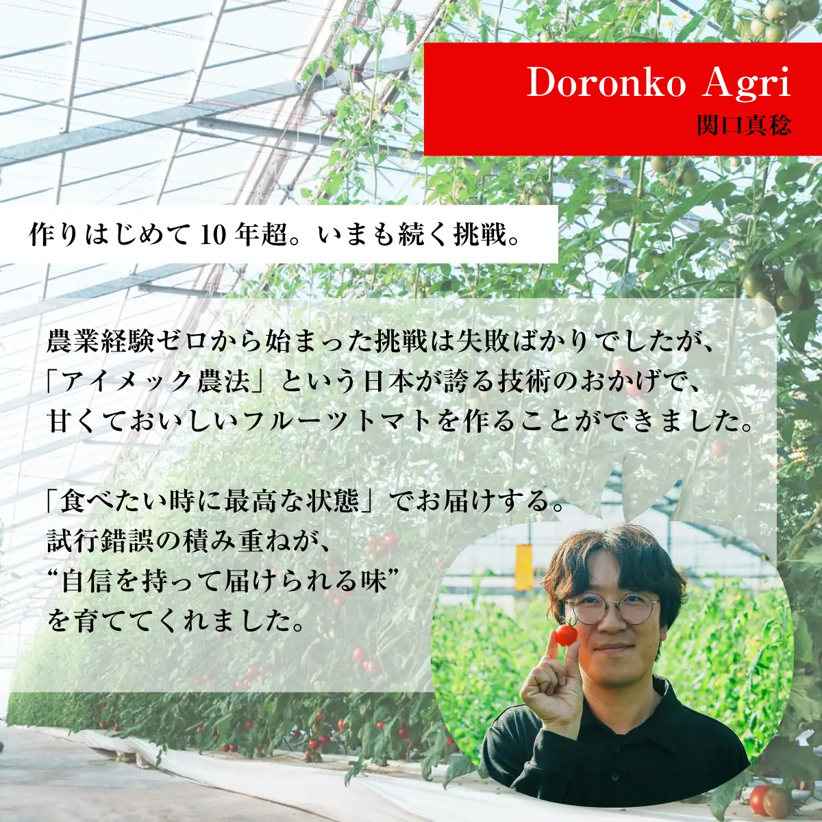 【12月から順次発送予定】濃厚フルーツトマト 1kg 糖度9度～11度  ポモ・ロッサ 陽だまりセレクション 先行予約