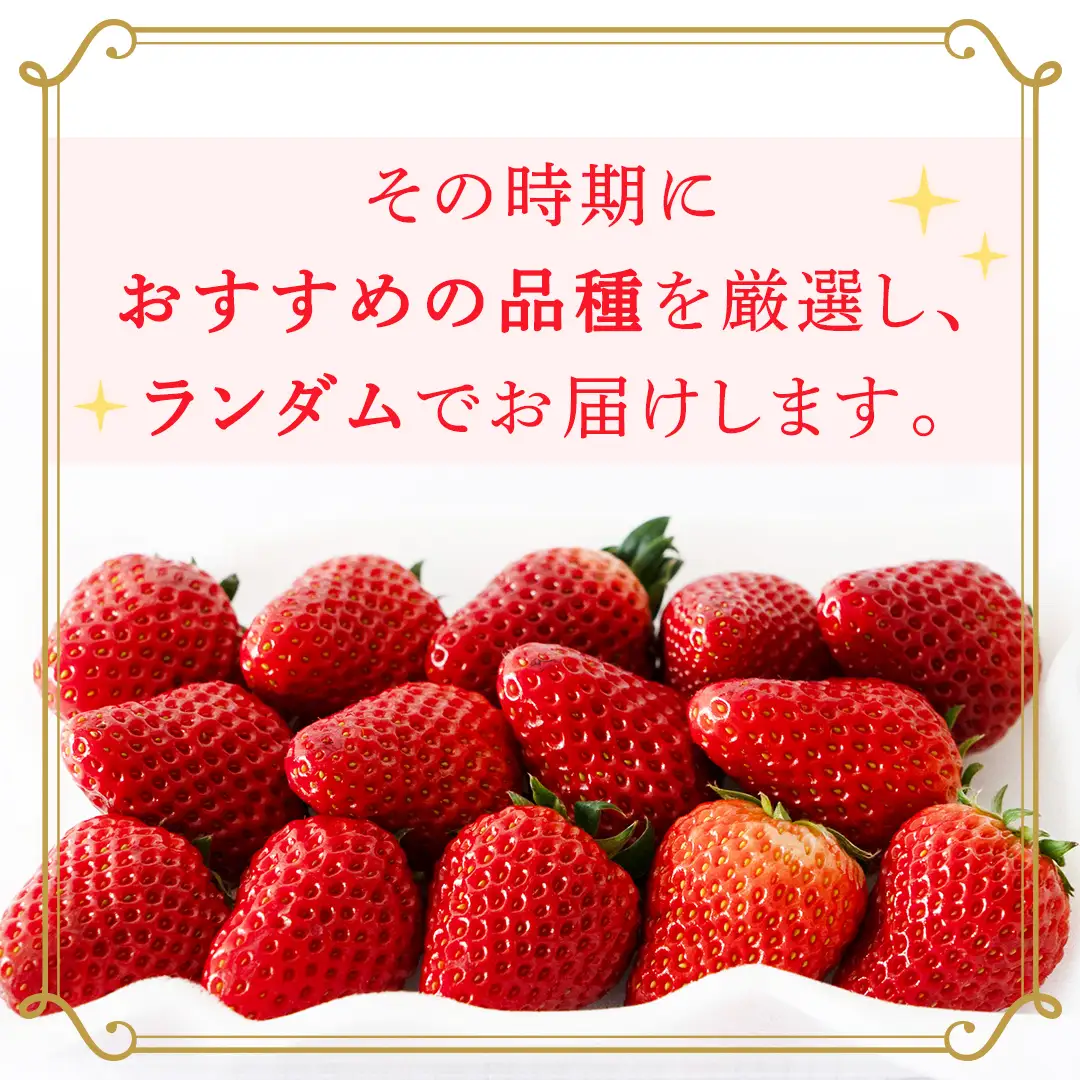 旬ないちご品種おまかせ（約250g×4パック）【2027年1月から発送開始】（茨城県共通返礼品 [いちご]：城里町産） 果物 くだもの フルーツ イチゴ 苺 旬 品種おまかせ 人気