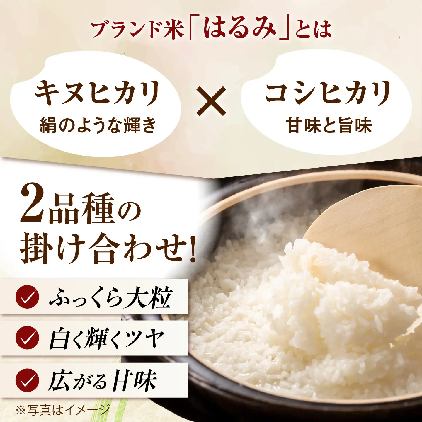 新米【全3回定期便】はるみ 5kg 令和8年産 米【遠藤ファーム】[BDAF006-3]