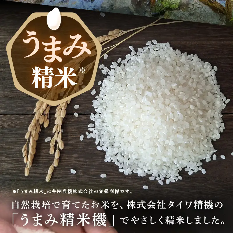 【先行予約】【令和8年産】【定期便3回】伊与衛門農園の自然栽培コシヒカリ精米 5kg×3回 ＜温度と湿度を常時管理し新鮮米を出荷！＞/ 米 白米 自然の力 高品質 鮮度抜群 ブランド米 福井県 あわら市産 スマート農業 ※2026年10月下旬以降順次発送 [aw071-f002]