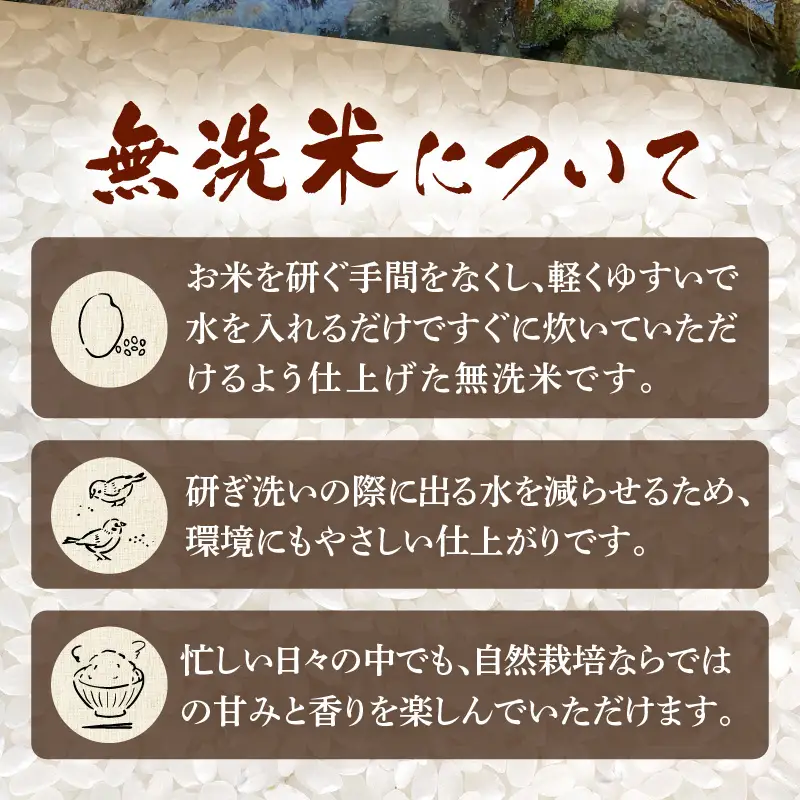 【先行予約】【令和8年産 新米】定期便 ≪3ヶ月連続お届け≫ 自然栽培米コシヒカリ 無洗米5kg×3回（計15kg） 伊与衛門農園の特別栽培米＜温度と湿度を常時管理し新鮮米を出荷！＞/ 米 白米 自然の力 高品質 鮮度抜群 ブランド米 福井県 あわら市産 スマート農業 ※2026年10月下旬以降順次発送 [aw071-f003]