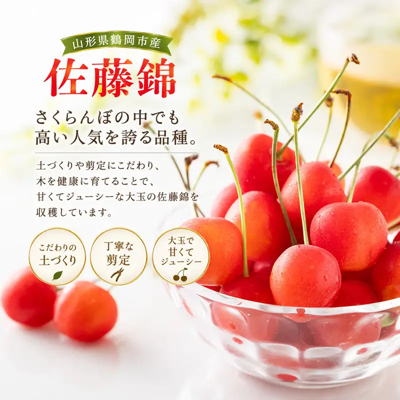 【令和9年産】 さくらんぼ 佐藤錦 バラ詰め 1kg（500g×2パック） 山形県鶴岡産 くにちゃん農園 K-966