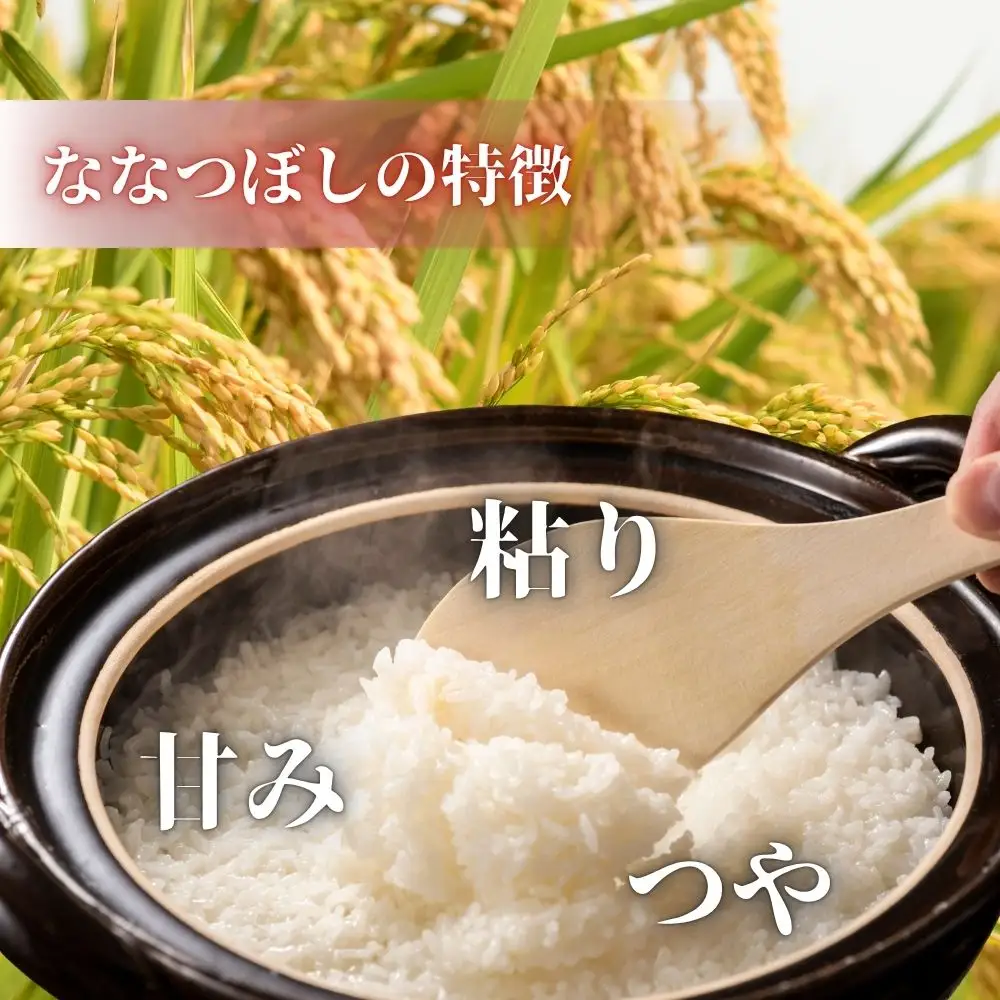 新米 ななつぼし 10kg 令和8年産 北海道産 先行予約