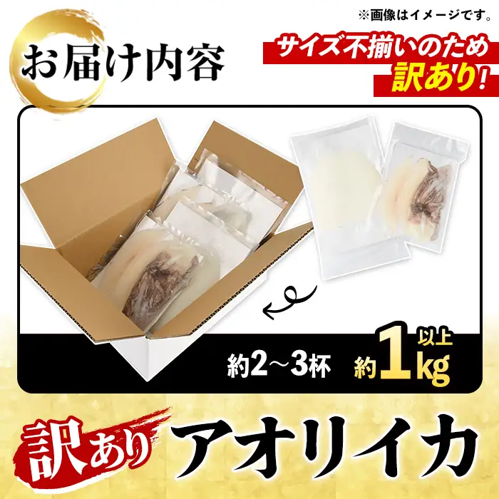 訳あり！アオリイカ(約1kg以上・2～3杯) 鹿児島県 阿久根市 いか イカ 烏賊 魚介 海鮮 海産物 冷凍 お刺身 お造り 真空パック 新鮮 おつまみ 晩酌 酒の肴 【さるがく水産】akn028-54