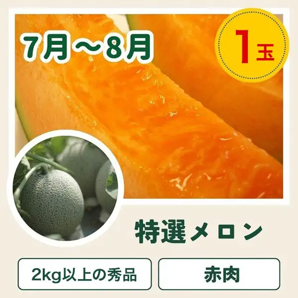 野菜 定期便 3回 【令和9年産予約受付】 美瑛の四季 百合（小） ふるなび限定 野菜 セット