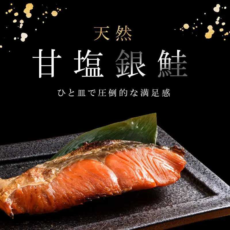 【 7日程度で発送 】 厚切り 天然甘塩銀鮭 切身 3切れ × 3パック 計9切れ 鮭 魚 魚類 魚介 魚介類 海鮮 BIGサイズ 真空パック おかず お惣菜 おつまみ 酒の肴 朝食 お弁当 冷凍