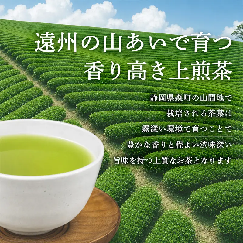 森の茶上煎茶 かおり 100g×4袋 茶 お茶 緑茶 煎茶 茶葉 森町 静岡県