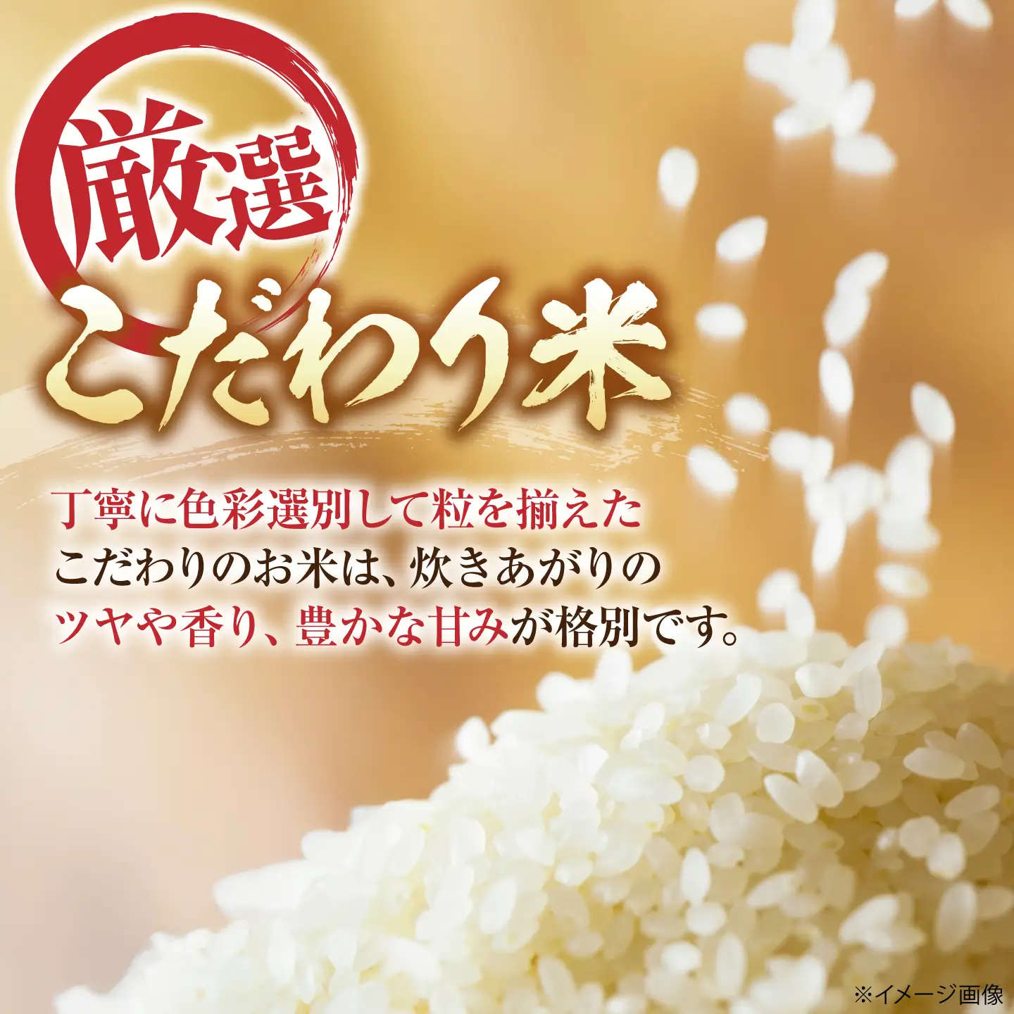 【全3回定期便】コシヒカリ 5kg 滋賀県長浜市/狩野農園[AQDK005]