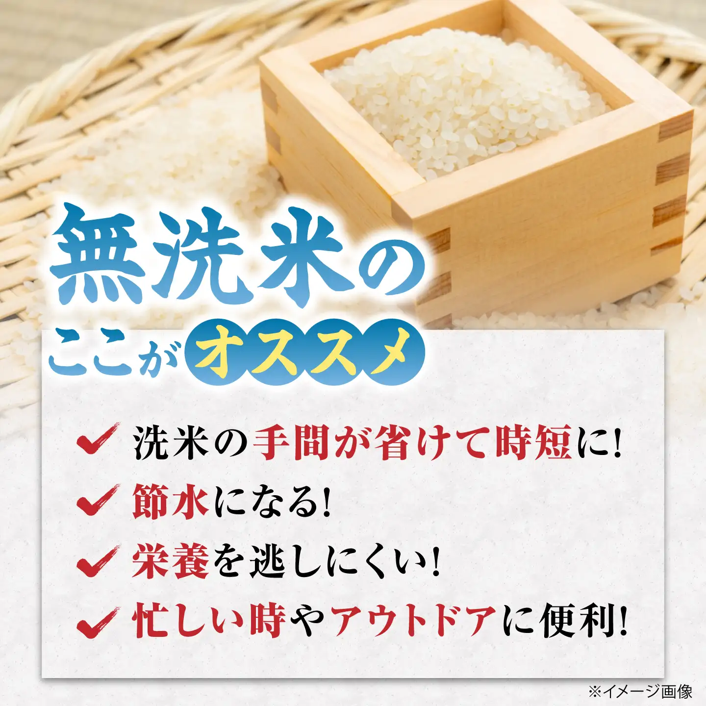 《令和8年産》【3ヶ月10kg定期便】無洗米 コシヒカリ 無洗 [AQDK008]【狩野農園】