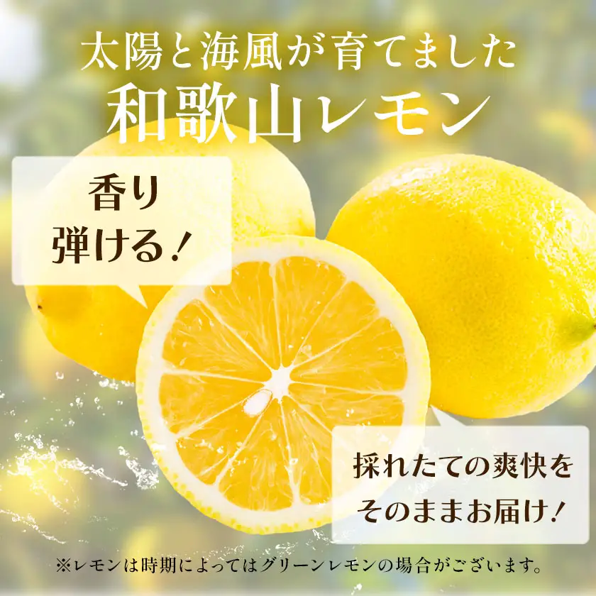 レモンとライム 詰め合わせ 約2kg レモン ライム