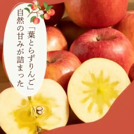 【濃厚な甘みとしっかり食感】サンふじ 10kg 1セット【1779786】