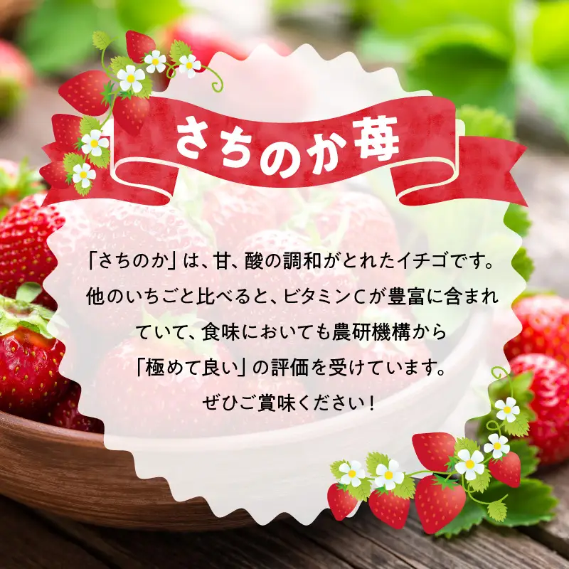 【定期便6回】園村苺園フルコース_U74-T020_6