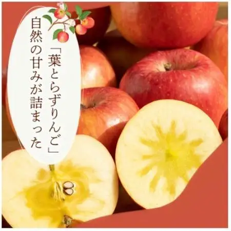 【食べきりやすい小玉サイズ】シナノピッコロ 5kg 1セット【1780236】